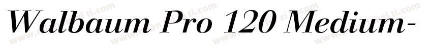 Walbaum Pro 120 Medium字体转换